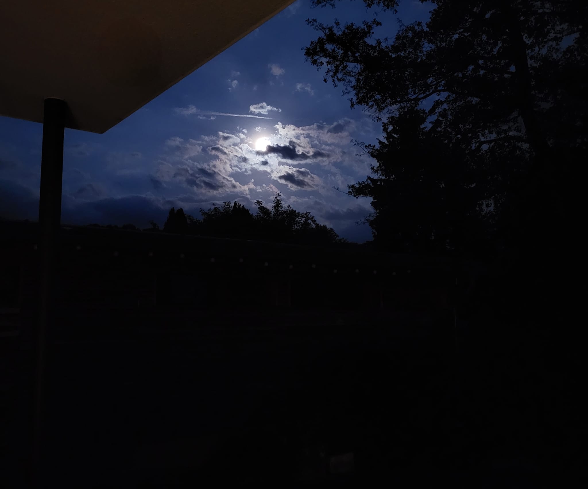 Mond