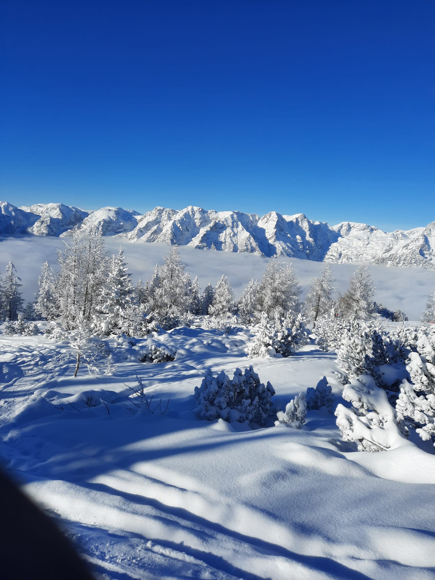 Schnee
